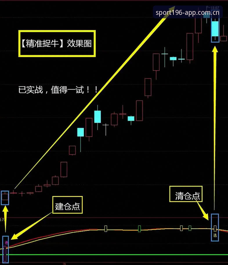 从观望到掌控：体育精准捕捉的五大实用技巧